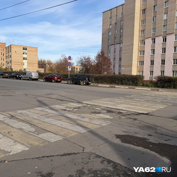 Ремонт ровно до указанного участка | Источник: Нелли Козловская / YA62.RU
