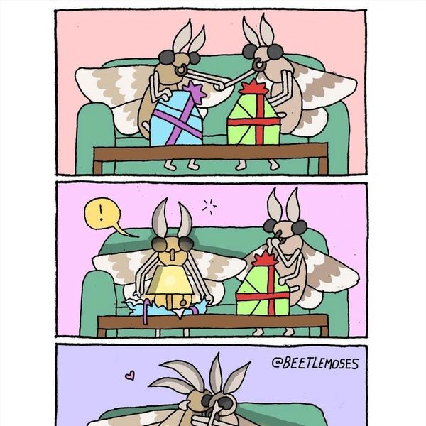 Источник: соцсети