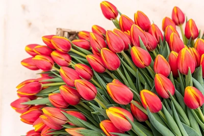 Идеи подарков для женщин по знаку зодиака