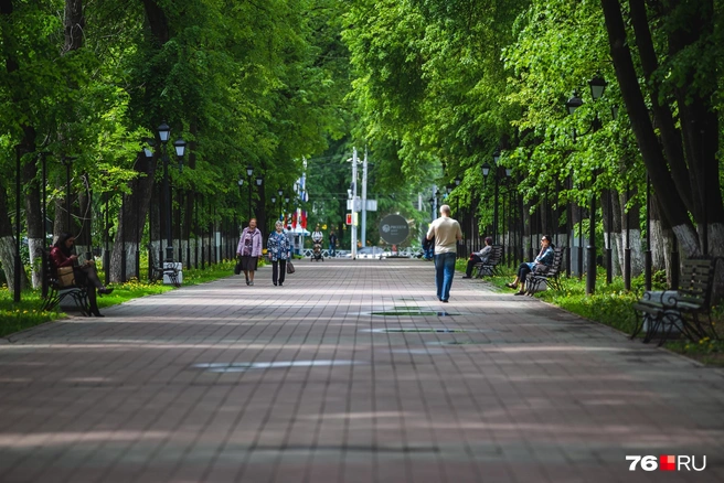 Бульвар от Красной площади до Волжской набережной теперь официально носит имя Николая Некрасова | Источник: Кирилл Поверинов / 76.RU