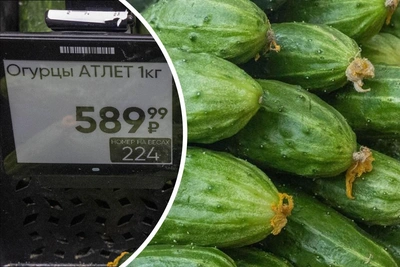 Огурцы в Ярославле: цены взлетели до 600 рублей за кг