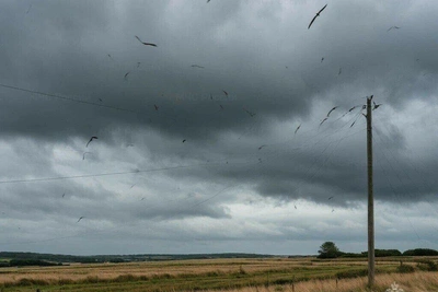 В Бурятии прогнозируют сильный ветер