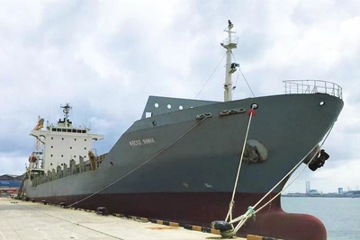 FESCO остановила перевозки по Черному морю после атаки на «Янину»
