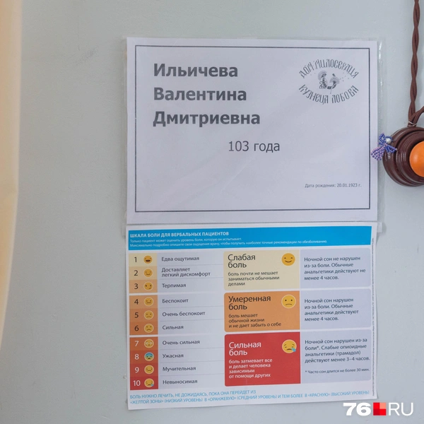 Здесь находятся настоящие долгожители  | Источник: Артем Бауман / 76.RU