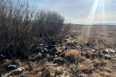 Администрацию Читы обязали ликвидировать свалку