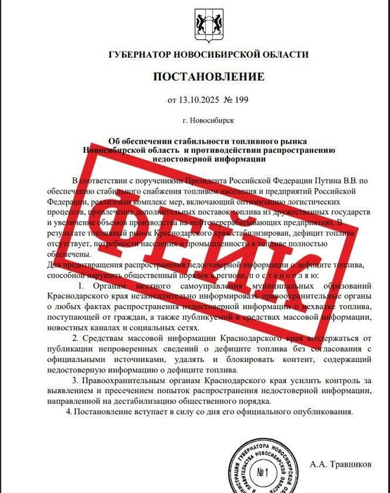 В региональном правительстве подтвердили, что документ — подделка | Источник: Юрий Орлов / NGS.RU