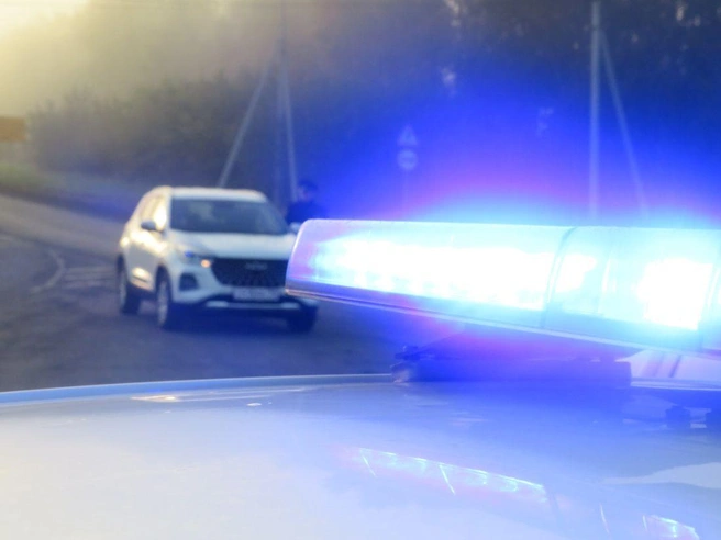 Мероприятие проводится в целях предотвращения ДТП и формирования ответственного подхода к безопасности всех участников движения | Источник: www.city-n.ru