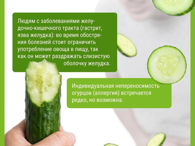 Группы людей, которым стоит ограничить употребление огурцов | Источник: Мария Романова / Городские медиа