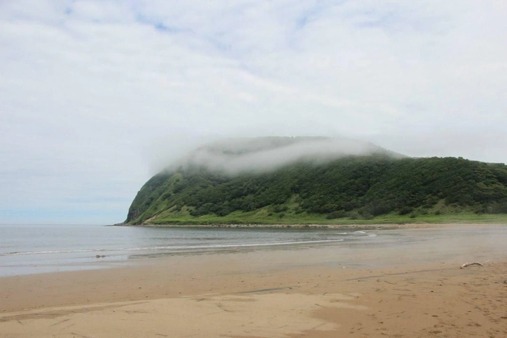 Источник: Ольга Чеповская