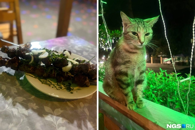 В местном кафе было по-настоящему уютно и вкусно | Источник: Настасья Медведева / NGS.RU