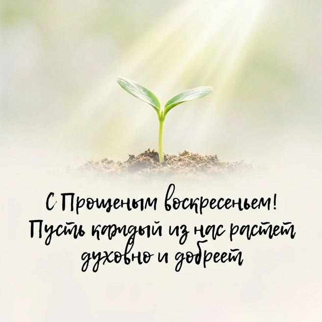 Источник: Городские медиа