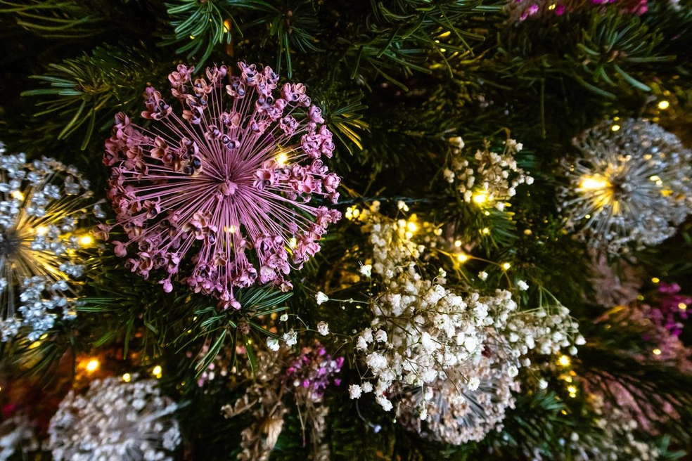 Источник: Anne Elizabeth Mitchell, iStock.com