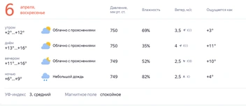 Источник: yandex.ru/pogoda/ru