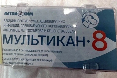 В Забайкалье запретили вакцины «Мультикан-8» и «Мультикан-6»