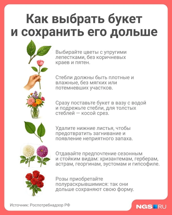 Косой срез предпочтителен для толстых, а жёсткие при необходимости можно расщепить или слегка надрезать | Источник: Юрий Орлов / Городские медиа