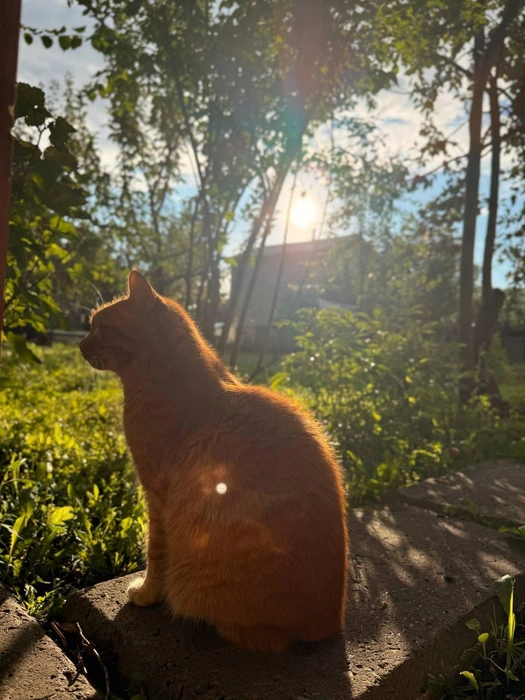 Эх, сейчас бы на дачу! | Источник: читатель 63.RU