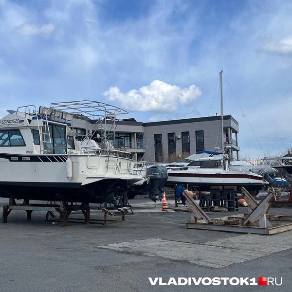 Источник: Елена Буйвол / VLADIVOSTOK1.RU
