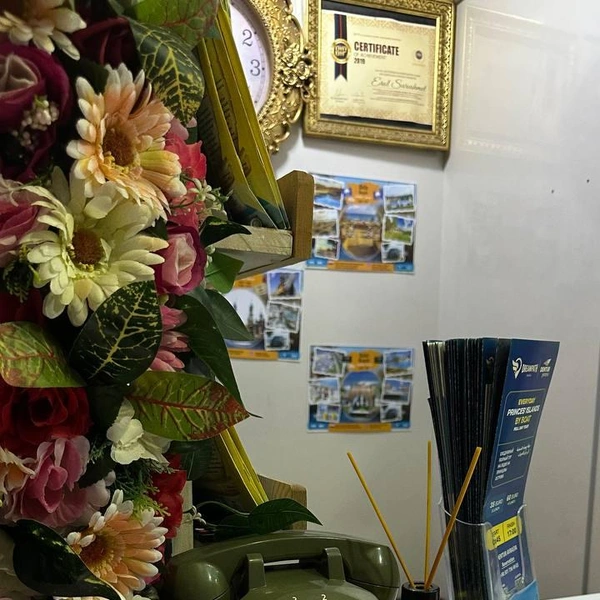 Источник: Юлия Гринберг