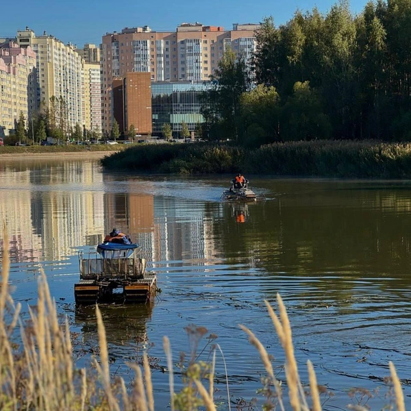 Источник: Официальный телеграм-канал Комитета по природопользованию