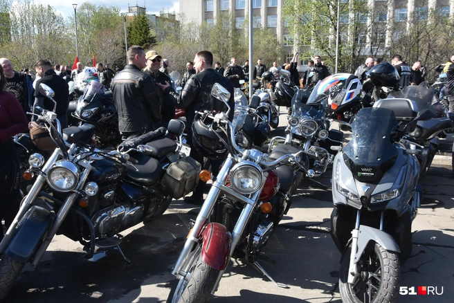 Источник: Александра Балаба / 51.RU