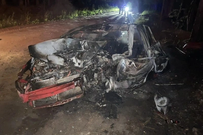 В Курганской области иномарка врезалась в дерево и загорелась