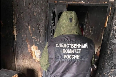 Пожары в Ленобласти унесли жизни