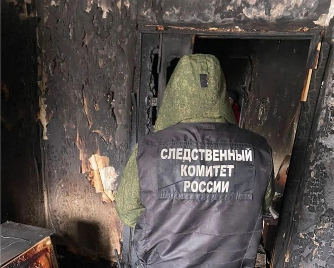 СК и отдел дознания МЧС устанавливают обстоятельства пожаров | Источник: Следственный комитет Ленобласти