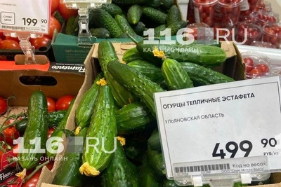 Огурцы в Казани дорожают до 500 рублей за кило