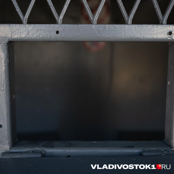 Источник: Елена Буйвол / VLADIVOSTOK1.RU