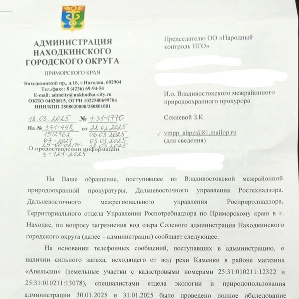 Источник: Красивая Находка / t.me