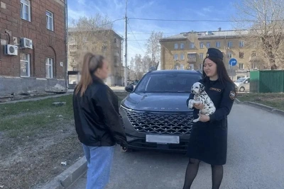 Приставы нашли должника в Новосибирске через объявление о далматинцах