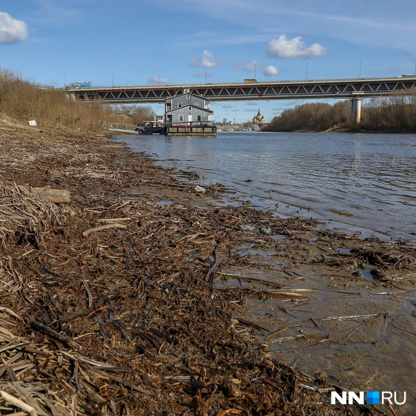 Низкий уровень воды может создать нехорошие условия для работы водозаборов и судоходства | Источник: Наталья Бурухина / NN.RU