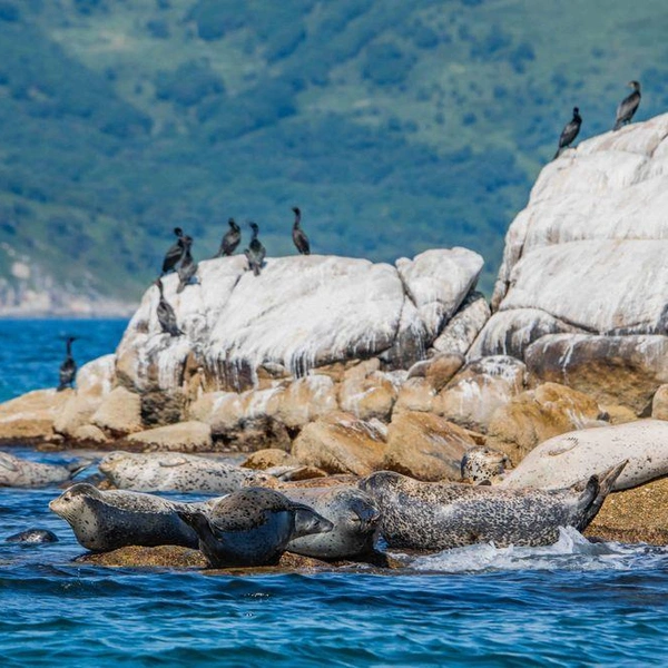 Источник: Виталий Берков / visit-primorye.ru