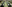 …в элегнатные пляжные джипчики Bohse Eurostar