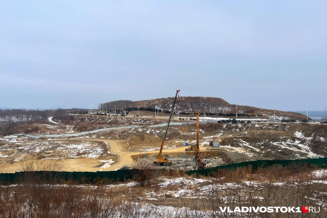 Взамен чиновница покровительствовала предпринимательнице | Источник: Елена Буйвол / VLADIVOSTOK1.RU