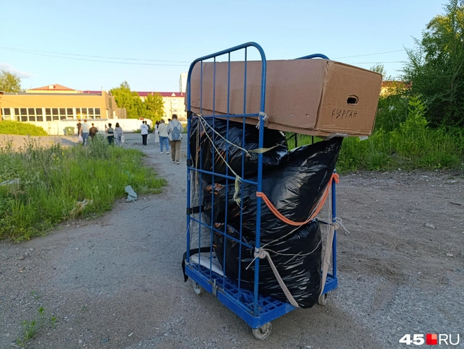 Цены на вторсырье в стране рухнули почти в два раза, а издержки только выросли | Источник: Надежда Тихомирова / 45.RU