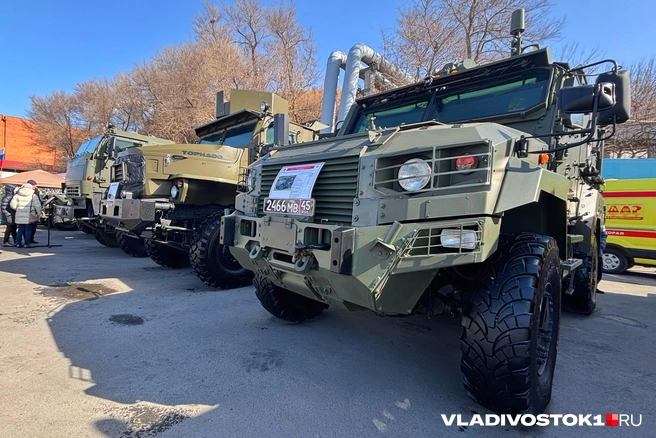 Источник: Елена Буйвол / VLADIVOSTOK1.RU