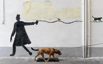 Подведены итоги конкурса уличных фотографий Pure Street Photography Awards 2026: оцените снимки победителей