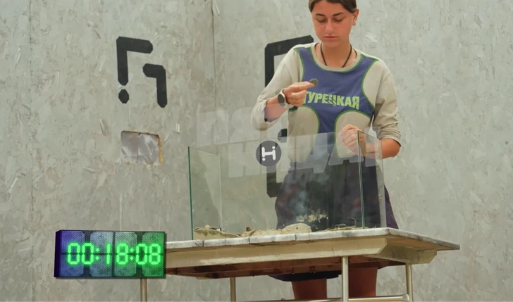 Источник: кадр из шоу «Выживалити. Наследники»