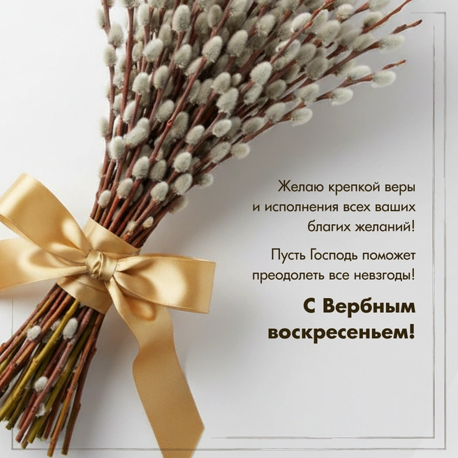 Источник: Городские медиа