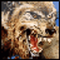 Аватарка rеցir