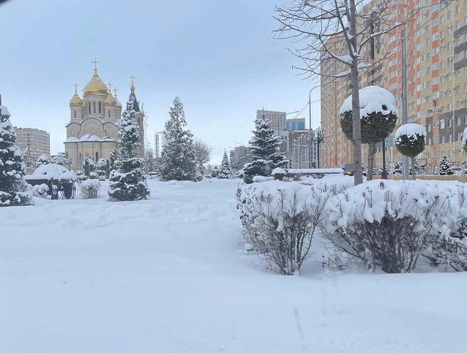 Как выглядит Ставрополь 1 января | Источник: Дарья Гранкина / 26.RU