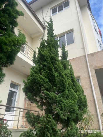 Фото самого номера на сайте бронирования просто нет | Источник: Booking