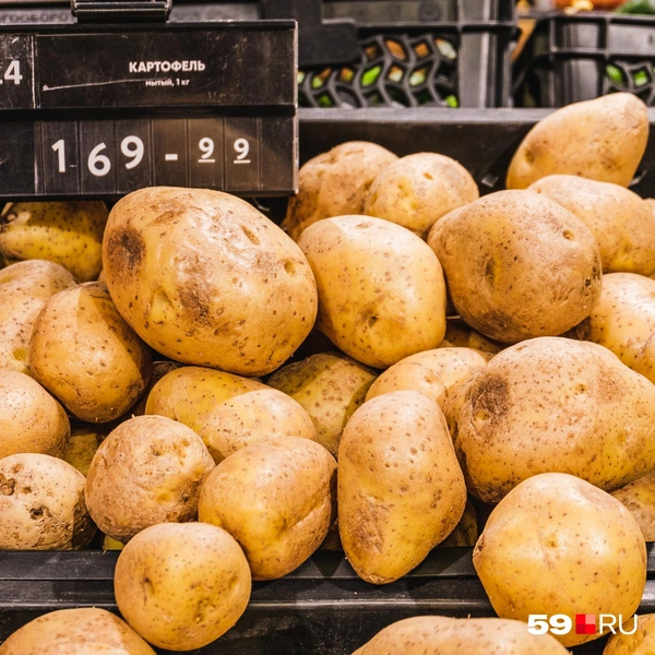 Мытая картошка за 170 рублей | Источник: Тимофей Калмаков / 59.RU