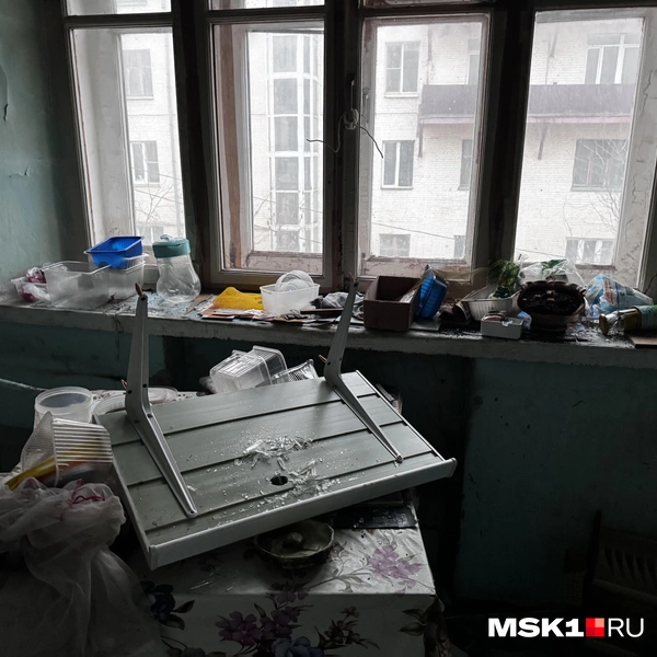 Источник: Алина Мельникова / MSK1.RU