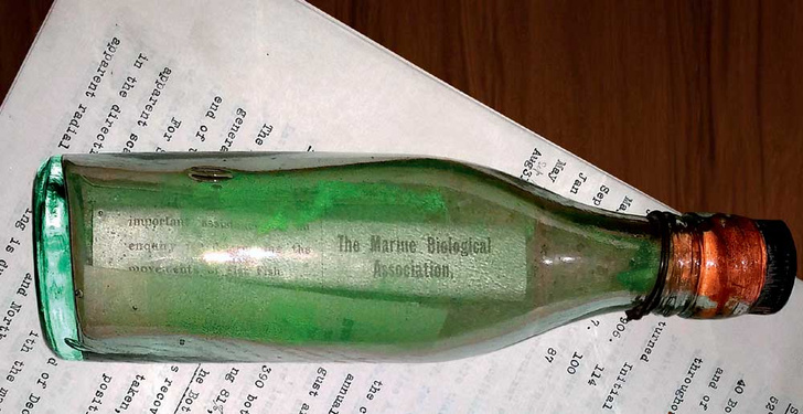 Рекорды: послание в бутылке