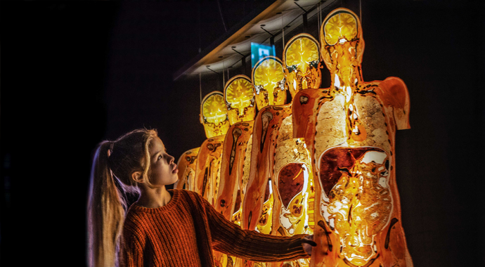 Всемирно известная выставка BODY WORLDS приезжает в Россию