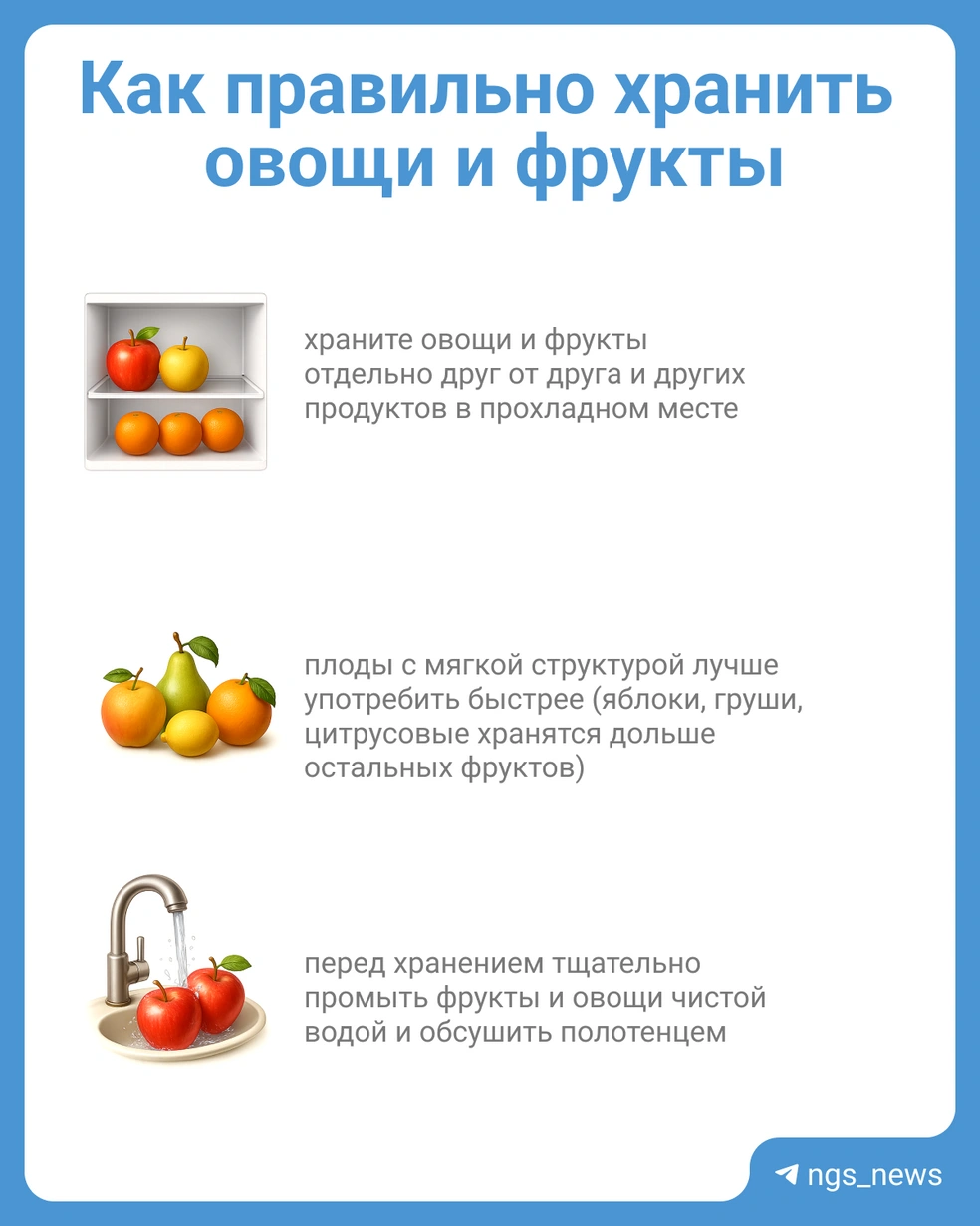 Инструкция | Источник: Юрий Орлов / Городские медиа