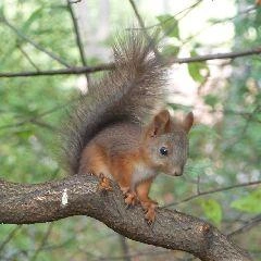 ЕДДС распространила прогноз на 9–11 сентября | Источник: www.city-n.ru