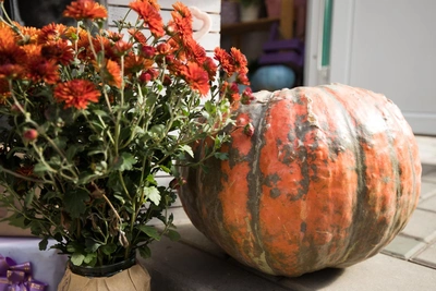 Simple pumpkin recipes: mash or bake